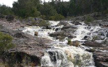 Wildwood Guesthouse - Accommodation Directory 2