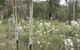 Wildwood Guesthouse - thumb 5