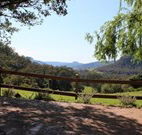 Cedar Grove - - Accommodation Directory