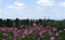 Cruickshanks Armidale Bed And Breakfast - Accommodation Directory 4