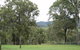 Elfin Hill - thumb 1