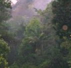 Havans Ecotourist Retreat - - Accommodation Directory