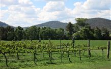 Jessica's Guest House And Vineyard - Accommodation Directory 0