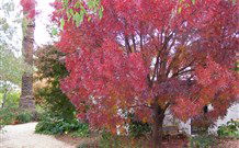 Langford House B&B - Accommodation Directory 4