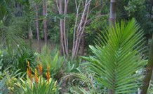 Old Convent River Retreat - Accommodation Directory 1