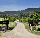 Pemberley Grange Hunter Valley Getaway - Accommodation Directory