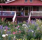 Rose Patch Bed and Breakfast - Accommodation Directory