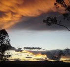 Silkwood B and B - Accommodation Directory