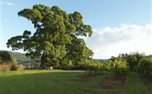 Silos Estate - - Accommodation Directory 1