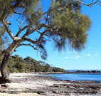 David Jones Cottage - Accommodation Directory