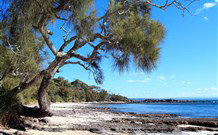 David Jones Cottage - Accommodation Directory 0