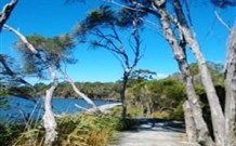 Emma's Cottage Vineyard - Accommodation Directory 5