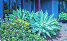 Jerrys Plains NSW Accommodation Directory