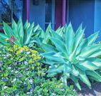 Retreat Homestead - Accommodation Directory