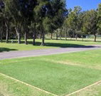 Spotted Gums on Hermitage - Accommodation Directory