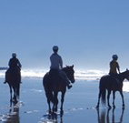 The Hayloft - Accommodation Directory