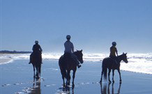 The Hayloft - Accommodation Directory 0