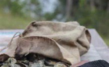 The Woods At Pokolbin - Accommodation Directory 3