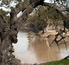 Valley View Cottage Hunter Valley - Accommodation Directory