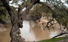 Valley View Cottage Hunter Valley - Accommodation Directory 0