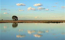 Valley View Cottage Hunter Valley - Accommodation Directory 4