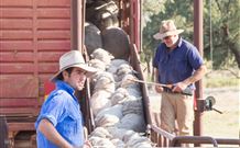 Valley View Cottage Hunter Valley - Accommodation Directory 7