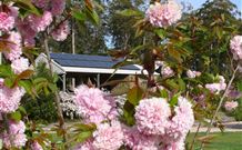 Warilla Bowls And Recreation Club - Holiday Cabins - Accommodation Directory 2