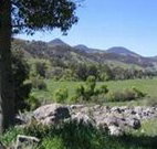 Woolshed Hill Estate - Accommodation Directory