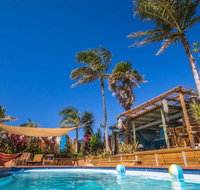 Port Macquarie YHA - Ozzie Pozzie Backpackers - Accommodation Directory