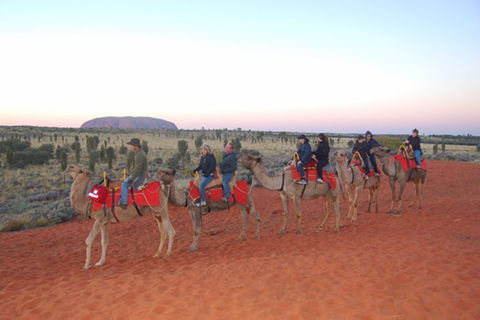 Ayers Rock - Outback Pioneer Lodge - Accommodation Directory 1