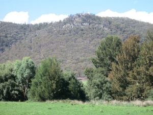 Jessica's Guest House And Vineyard - Accommodation Directory 3