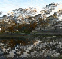 Greysen Farmstay - Accommodation Directory