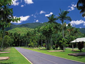BIG4 Cairns Crystal Cascades Holiday Park - Accommodation Directory 1