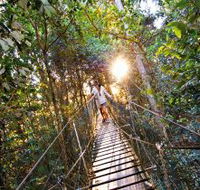 O'Reilly's Rainforest Retreat - Accommodation Directory
