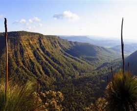 O'Reilly's Rainforest Retreat - Accommodation Directory 3