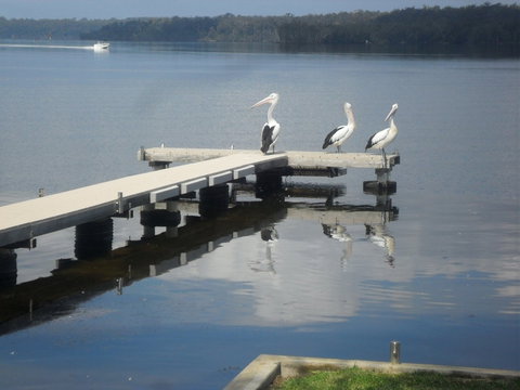 Basin Cabin - Accommodation Directory 0