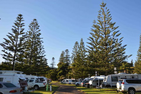NRMA Port Macquarie Breakwall Holiday Park - Accommodation Directory 5