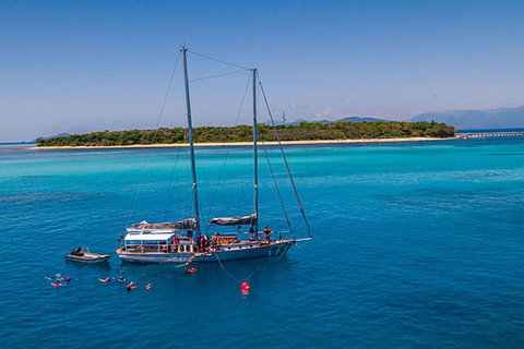 Ocean Free And Ocean Freedom - Cairns Premier Reef And Island Tours - Accommodation Directory 3