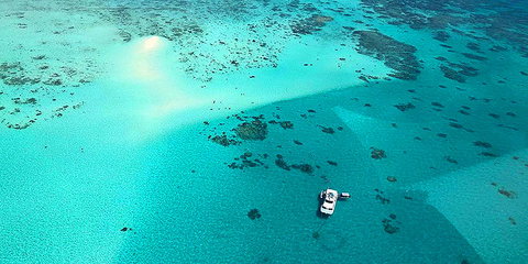 Ocean Free And Ocean Freedom - Cairns Premier Reef And Island Tours - Accommodation Directory 0