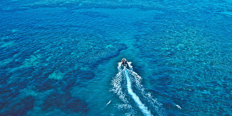 Ocean Free And Ocean Freedom - Cairns Premier Reef And Island Tours - Accommodation Directory 1