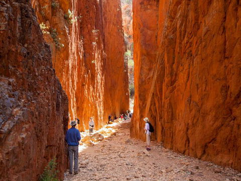Standley Chasm Angkerle Camping - Accommodation Directory 4