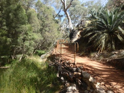 Standley Chasm Angkerle Camping - Accommodation Directory 7