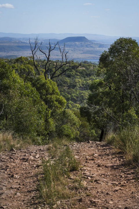 Kroombit Tops National Park Camping Ground - Accommodation Directory 3