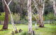 Fifth Ave Katoomba Retreat - thumb 2