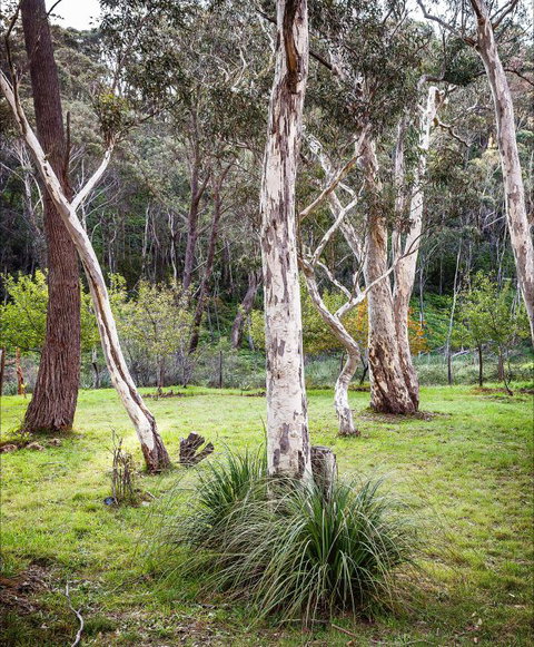 Fifth Ave Katoomba Retreat - Accommodation Directory 2