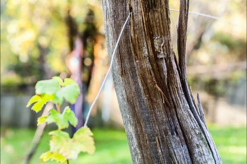 Fifth Ave Katoomba Retreat - Accommodation Directory 3