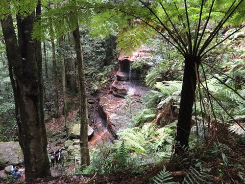 Fifth Ave Katoomba Retreat - Accommodation Directory 9