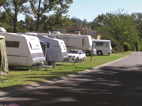 Poplar Tourist Park Camden - Accommodation Directory 2
