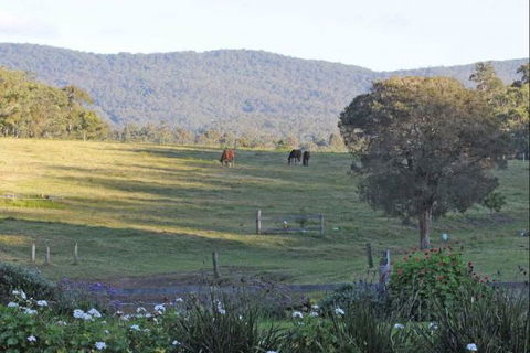 Wallaby Cottage - Accommodation Directory 1