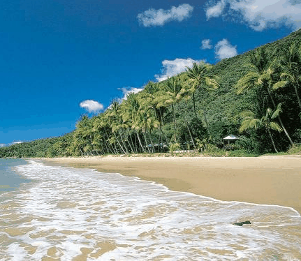 Ellis Beach Oceanfront Bungalows - Accommodation Directory 3